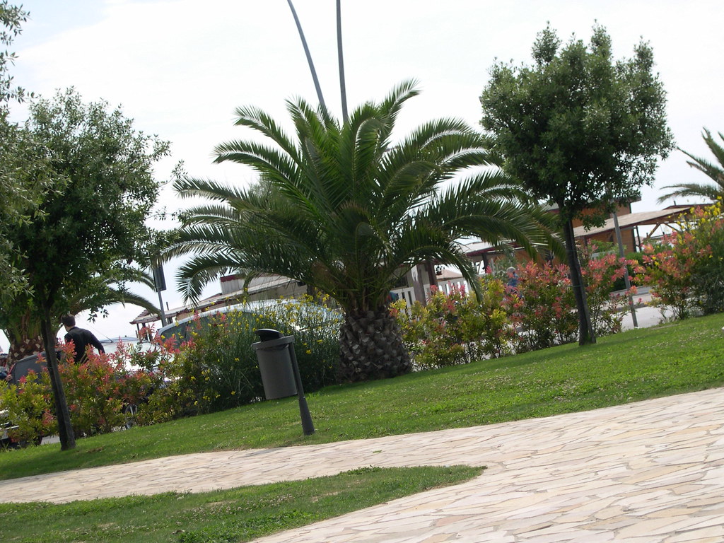 Passeggiata sul lungomare di Civitanova Marche con vista mare